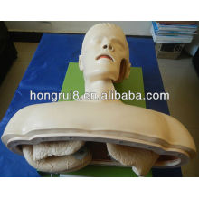 ISO Electric Airway Intubation Training Manikin, Intubation Training